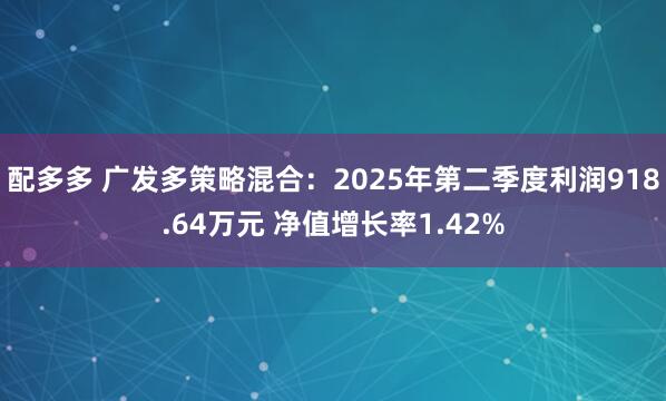 配多多 广发多策略混合：2025年第二季度利润918.64万元 净值增长率1.42%