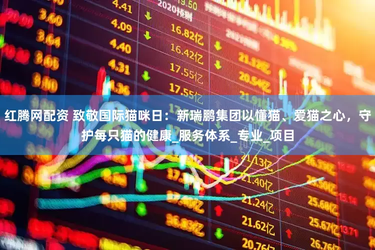 红腾网配资 致敬国际猫咪日：新瑞鹏集团以懂猫、爱猫之心，守护每只猫的健康_服务体系_专业_项目