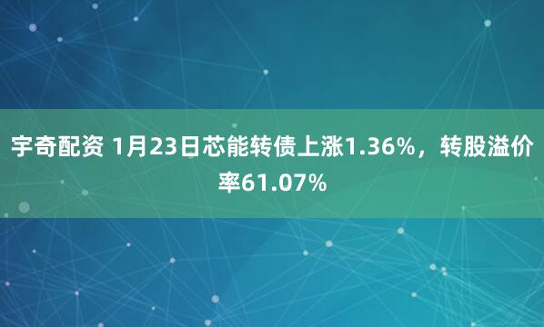 宇奇配资 1月23日芯能转债上涨1.36%，转股溢价率61.07%