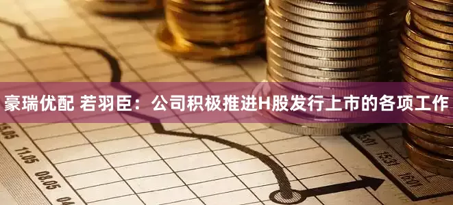 豪瑞优配 若羽臣：公司积极推进H股发行上市的各项工作